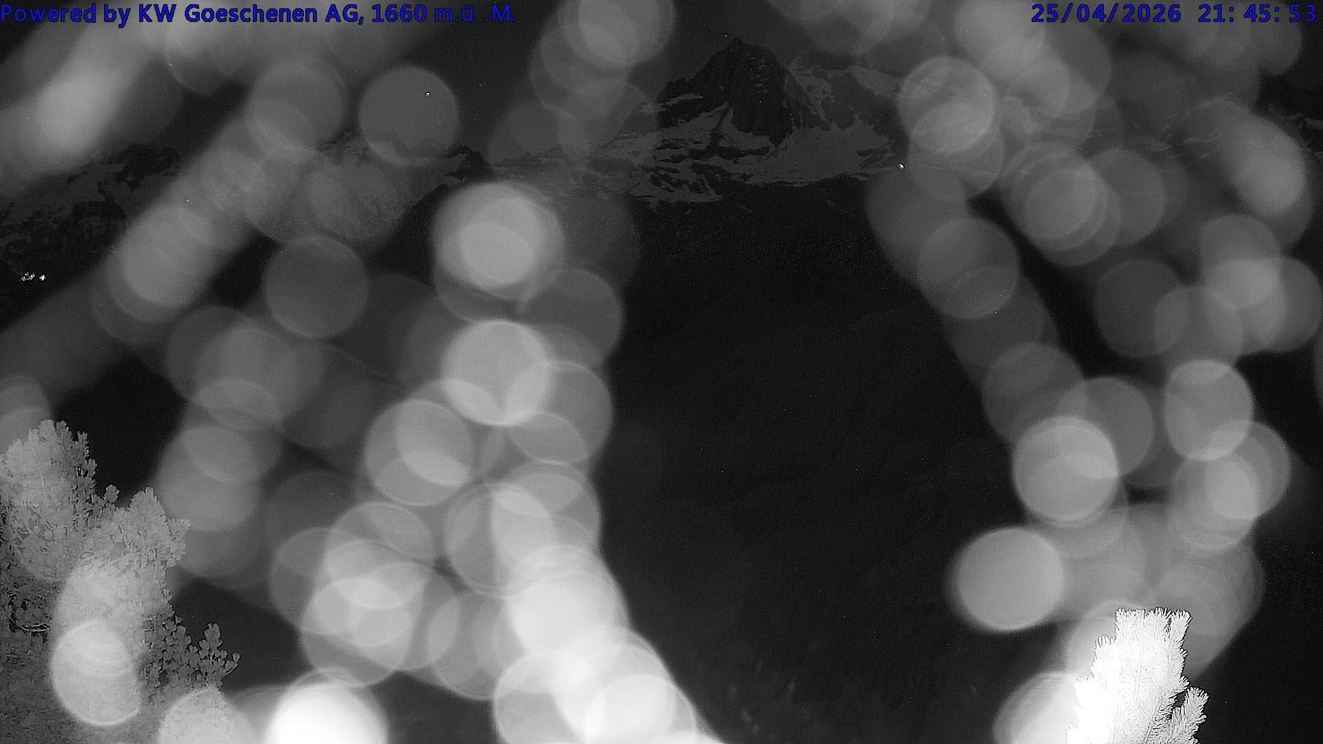 Göschenen › Westen: Salbitschijen