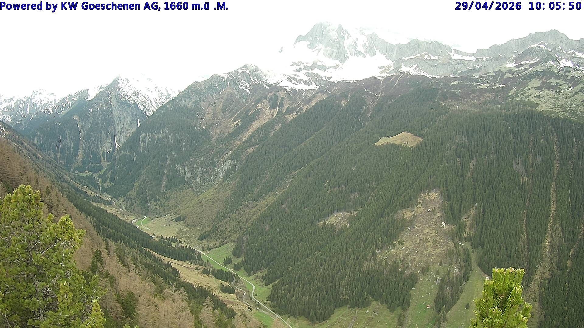 Göschenen › Westen: Salbitschijen