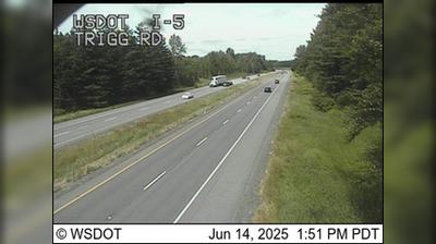 Bellingham: I-5 at MP 264.8: Trigg Rd