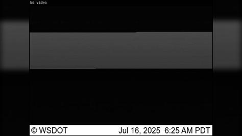 Sammamish SR 202: Scenic Traffic Views Webcam