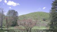 Annin Township › North-West: Wildcat Hollow - Marvin Creek - Dia