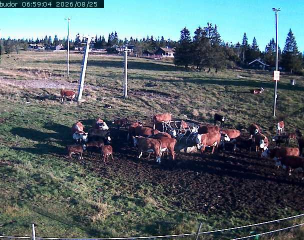 Traffic Cam Elverum › North