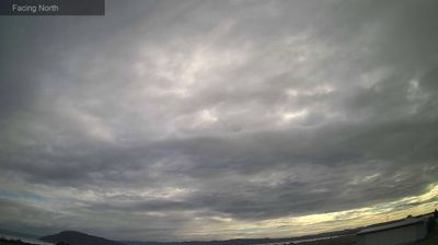 Rotorua today