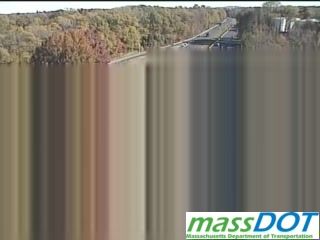Springfield webcam