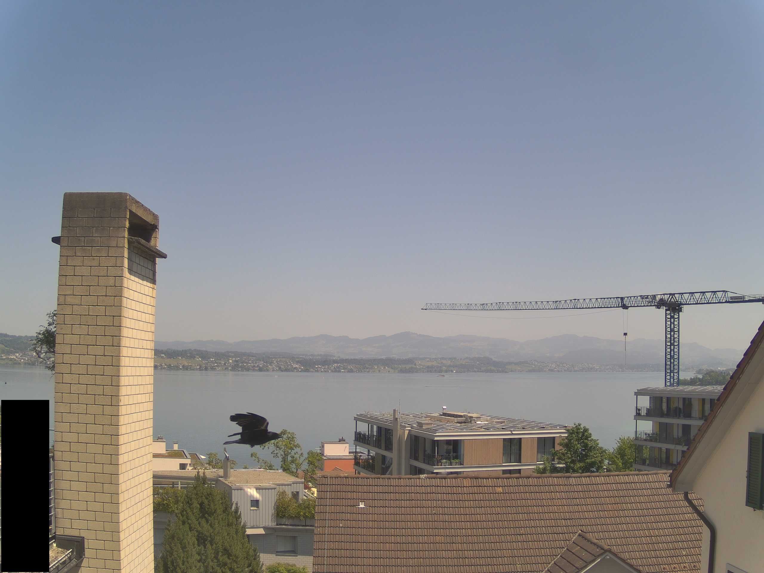 Richterswil › Nordosten: Zürichsee
