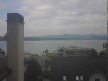 Richterswil: Zürichsee