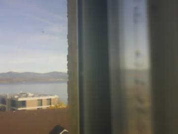 Richterswil: Zürichsee