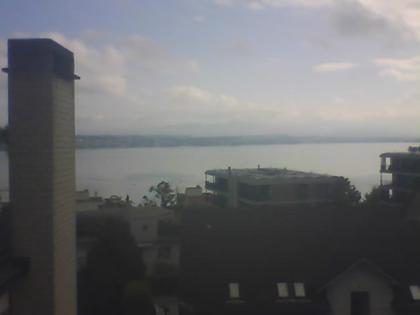 Richterswil: Zürichsee