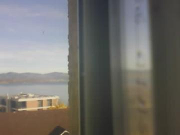 Richterswil: Zürichsee