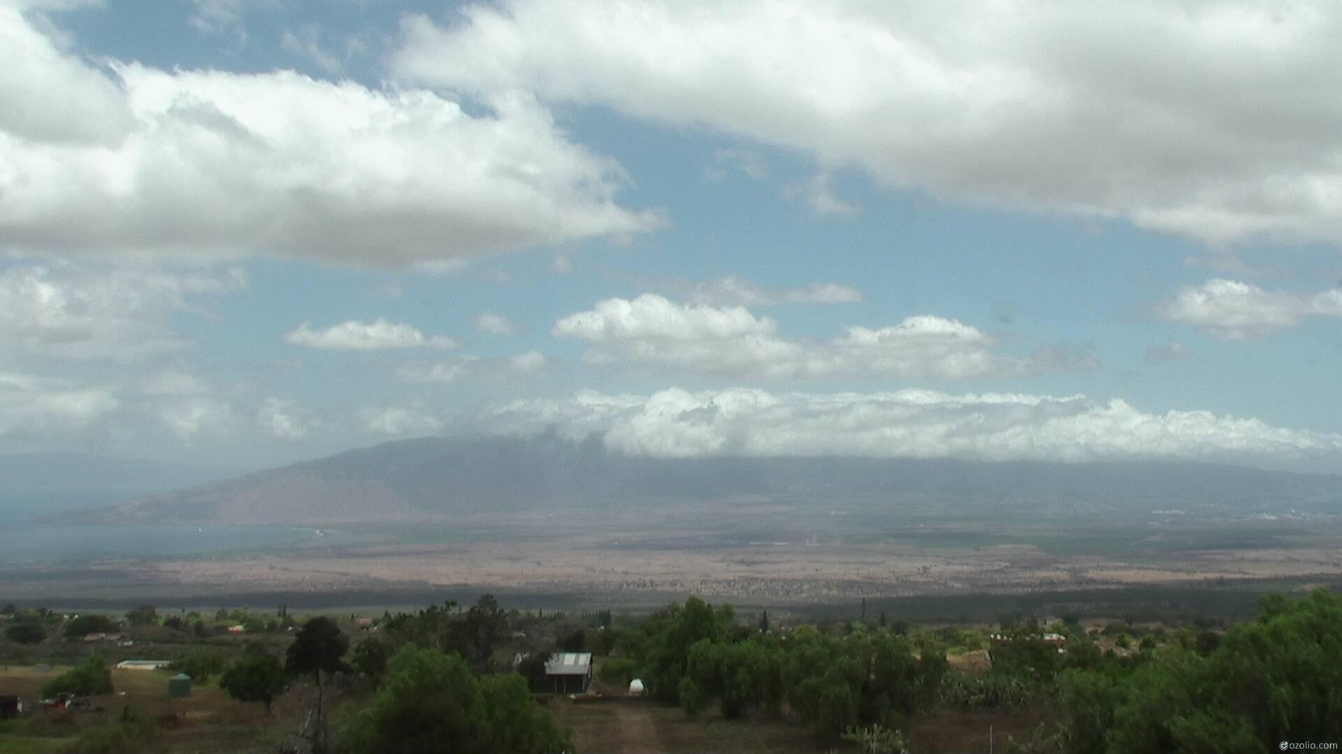 cams around Kahului Airport meteoblue