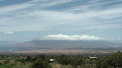 Maui today