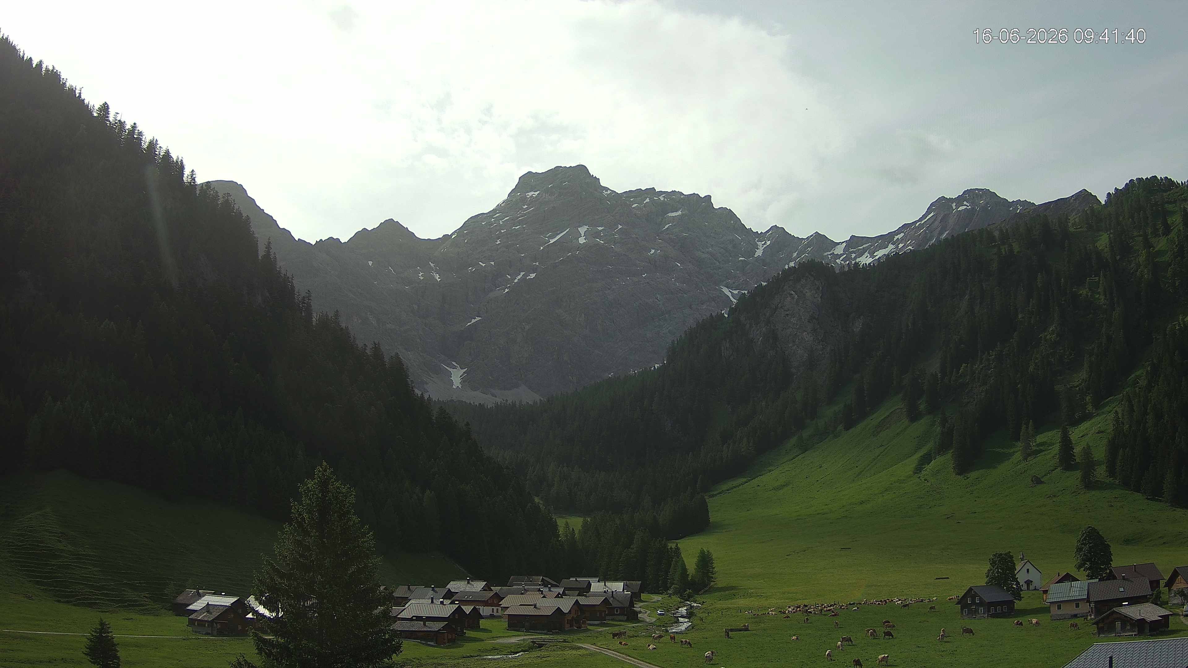 Triesenberg › Osten: Nenzinger Himmel