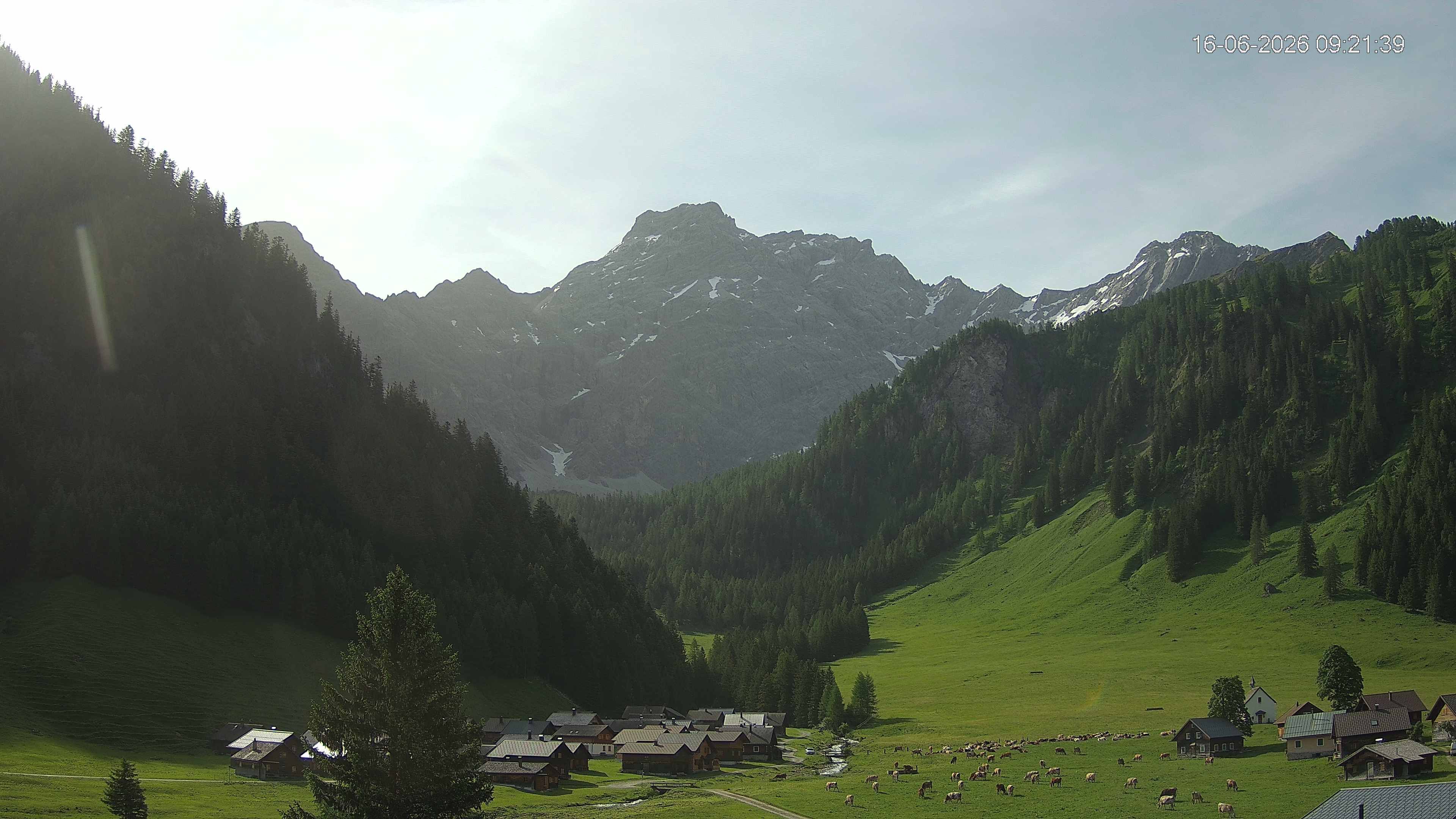 Triesenberg › Osten: Nenzinger Himmel