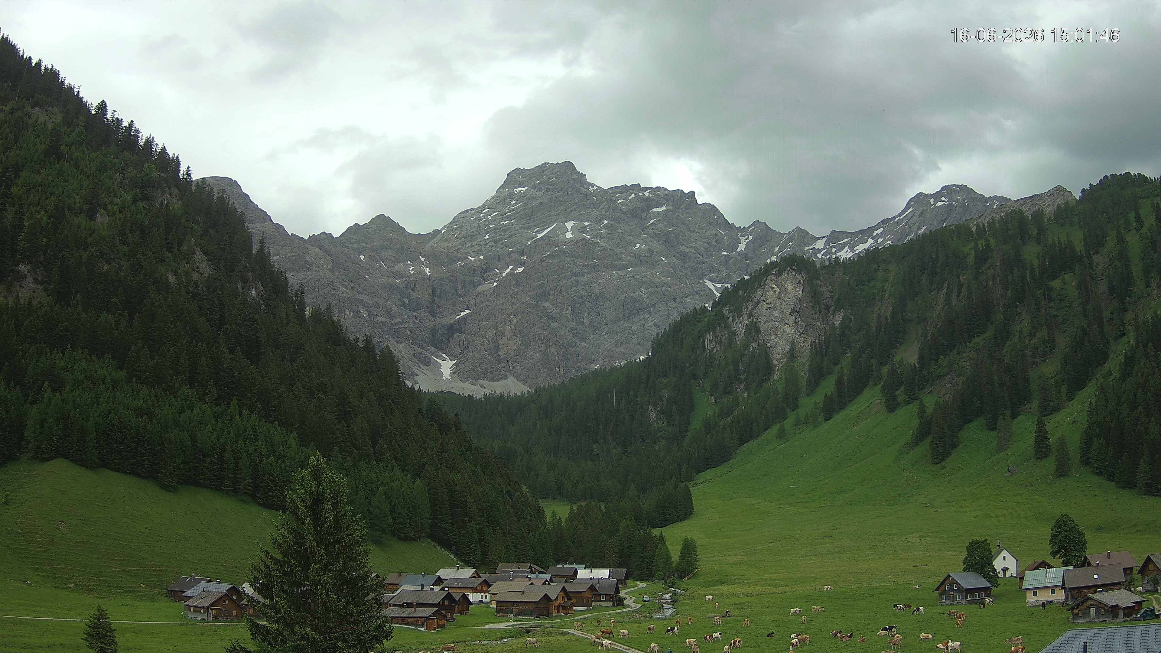 Triesenberg › Osten: Nenzinger Himmel