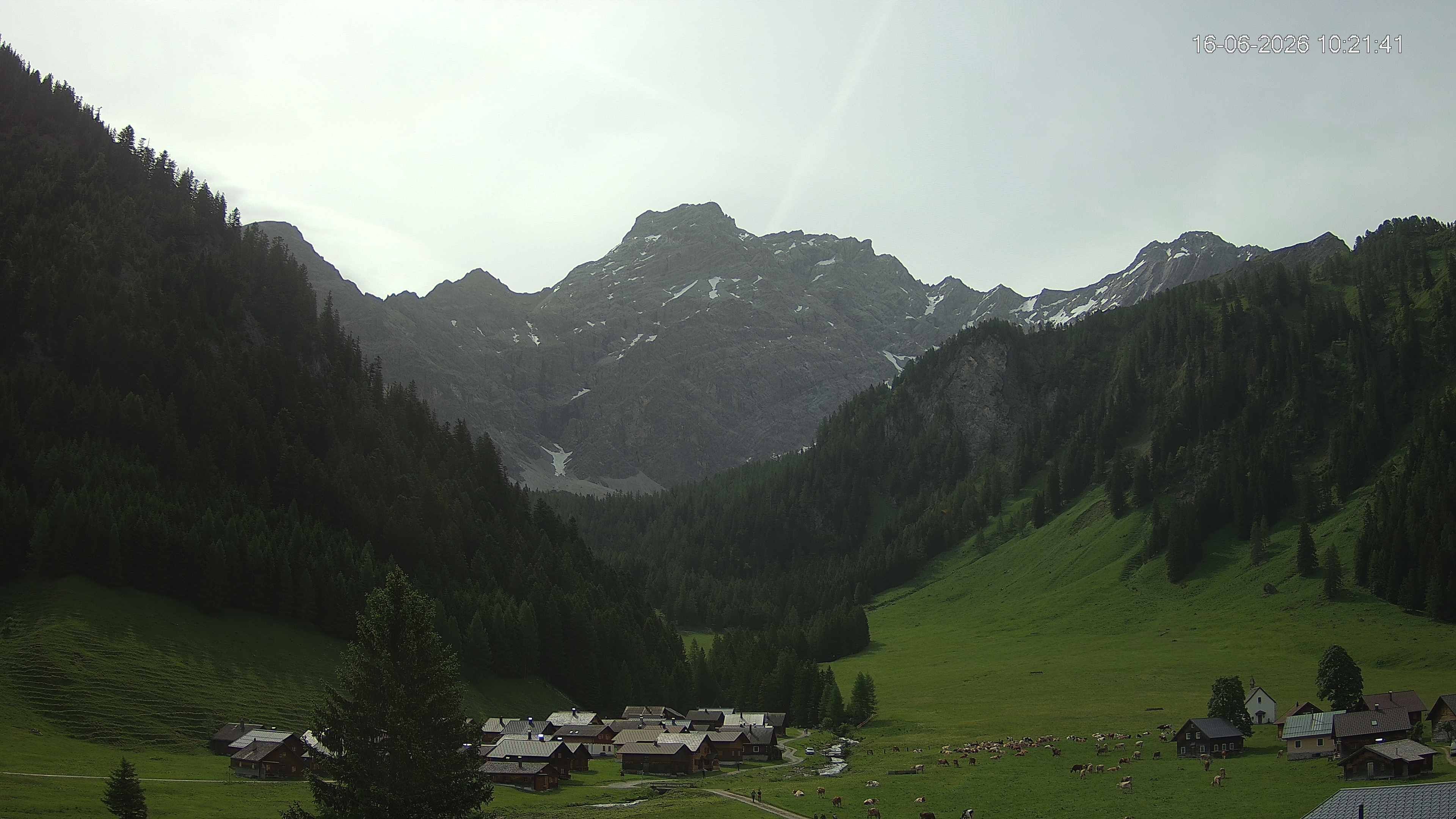 Triesenberg › Osten: Nenzinger Himmel