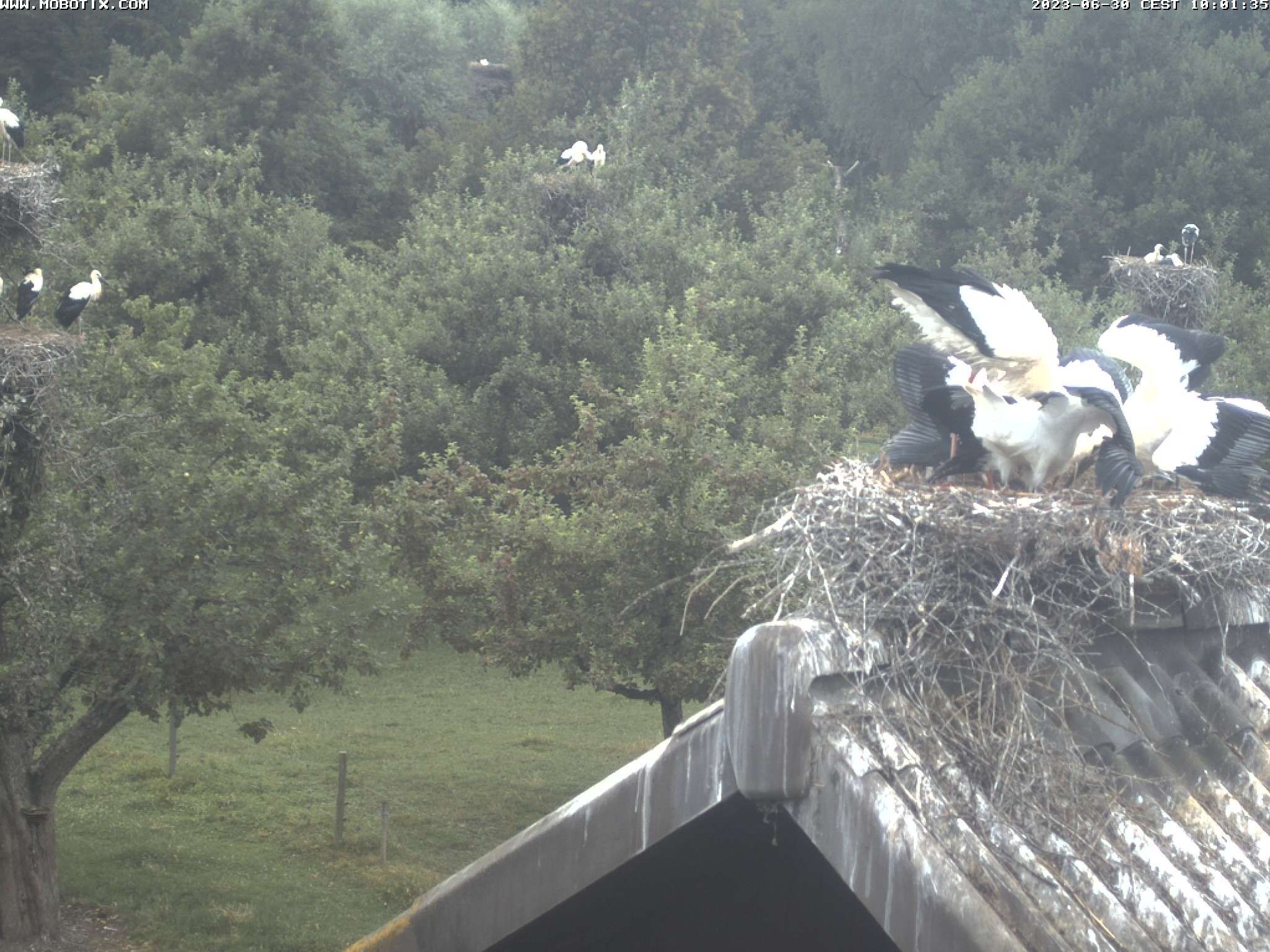 Muri: Murimoos Werken und Wohnen