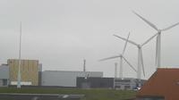 Harlingen