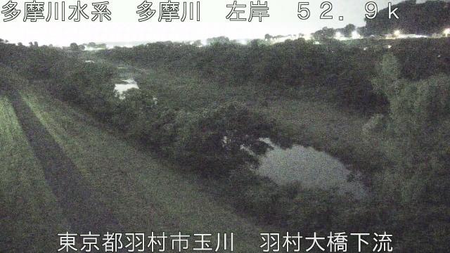 Scenic Views of Tama River Webcam