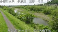 Hamura: Tama River - Day time