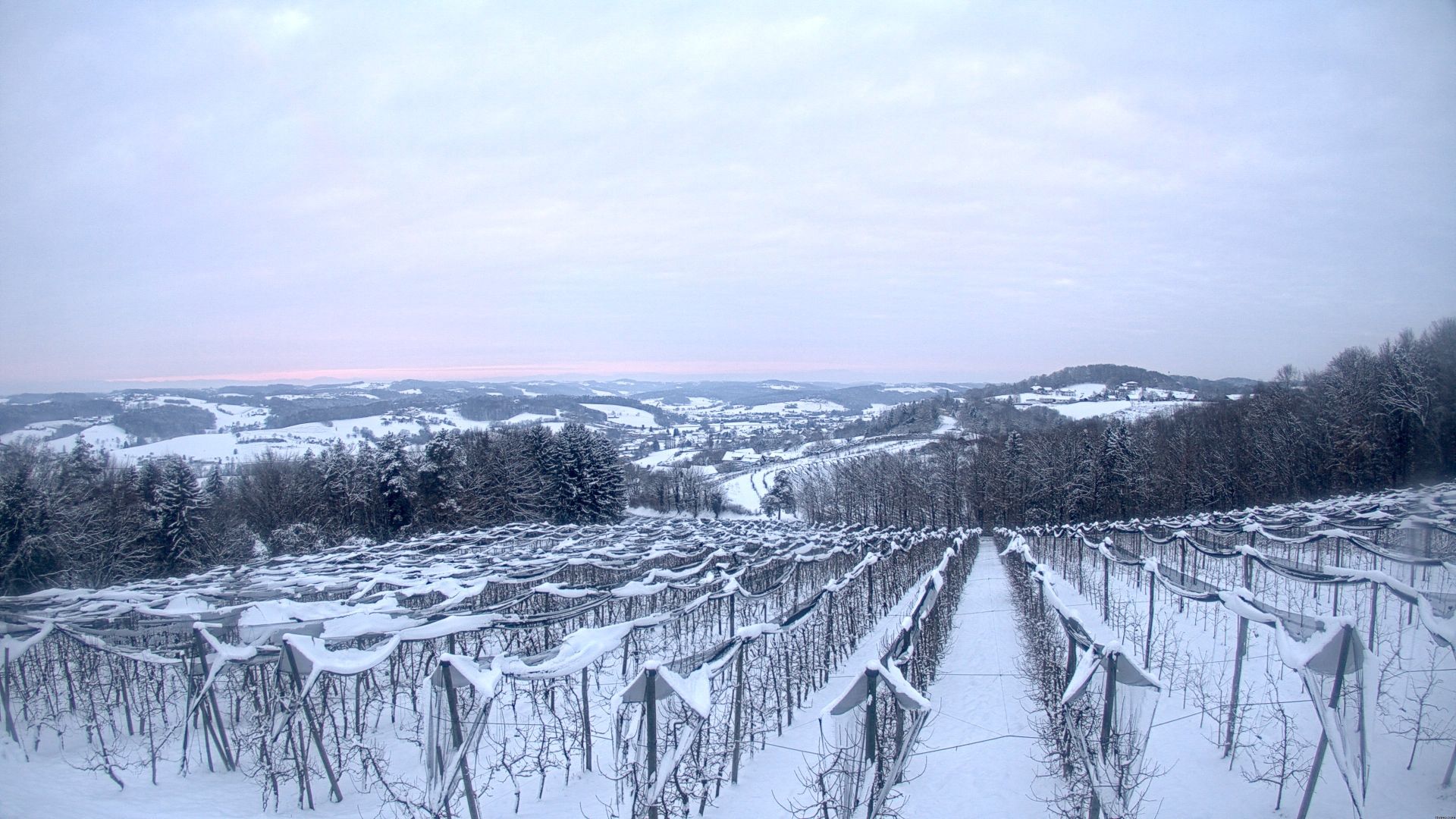Traffic Cam Gleichenberg Dorf: Obstbau Haas - Blick auf Gnas