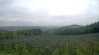 Gleichenberg Dorf: Obstbau Haas - Blick auf Gnas - Recent