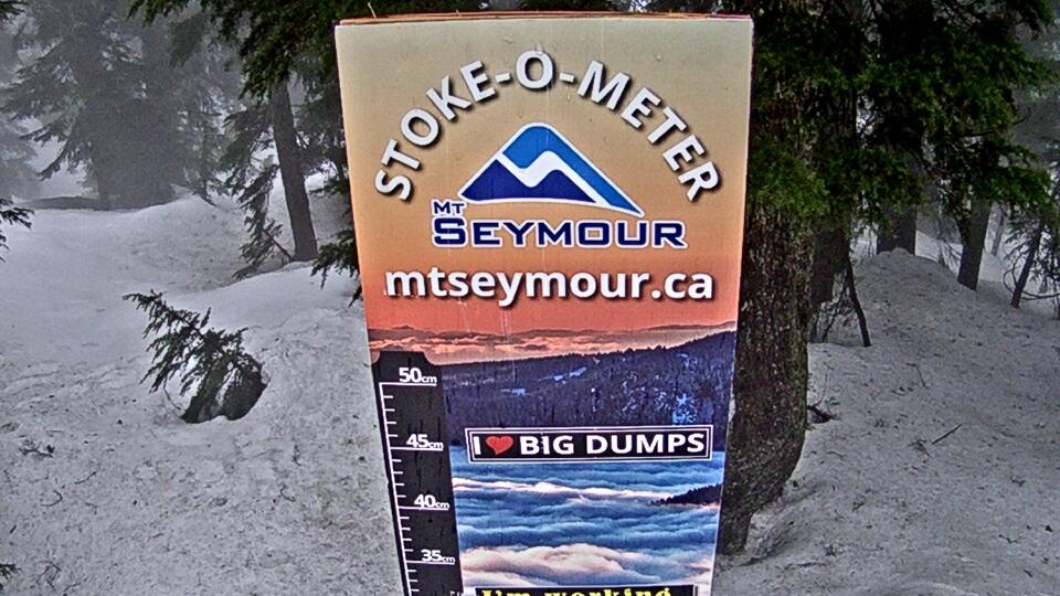 Mt Seymour Snow Stake