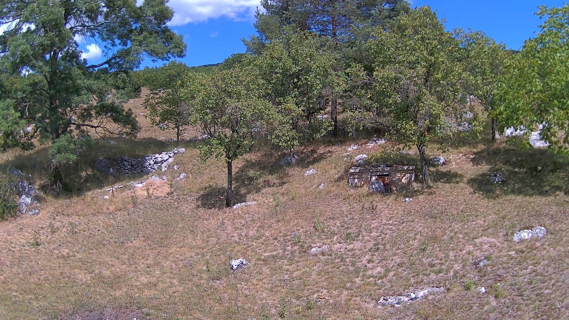 Traffic Cam Žirović Village
