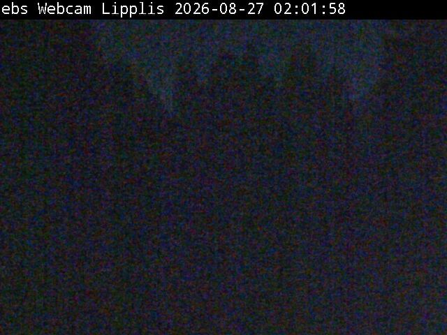 Traffic Cam Muotathal › South