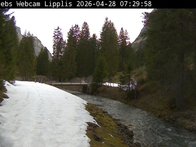 Muotathal › Süden