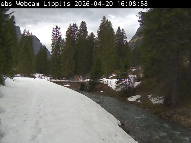 Muotathal › Süden