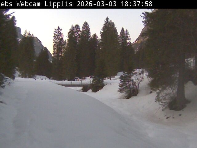 Muotathal › Süden