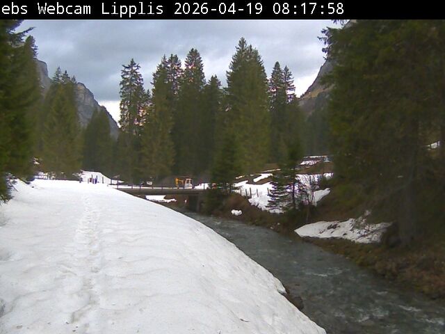 Muotathal › Süden