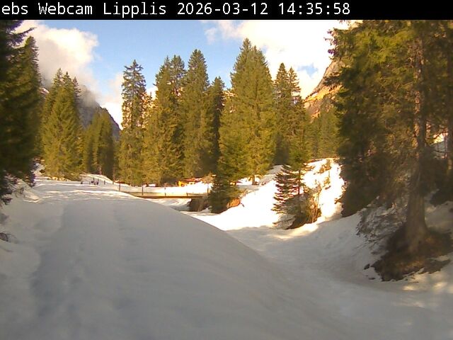 Muotathal › Süden