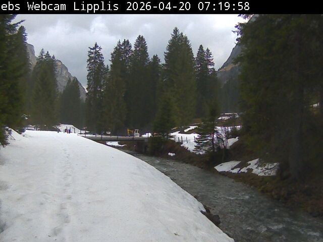 Muotathal › Süden