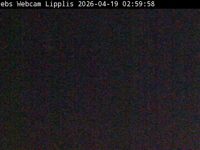 Muotathal › Süden