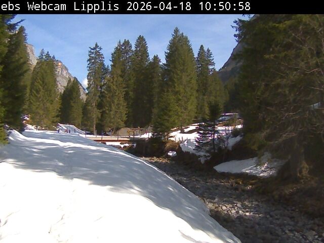 Muotathal › Süden