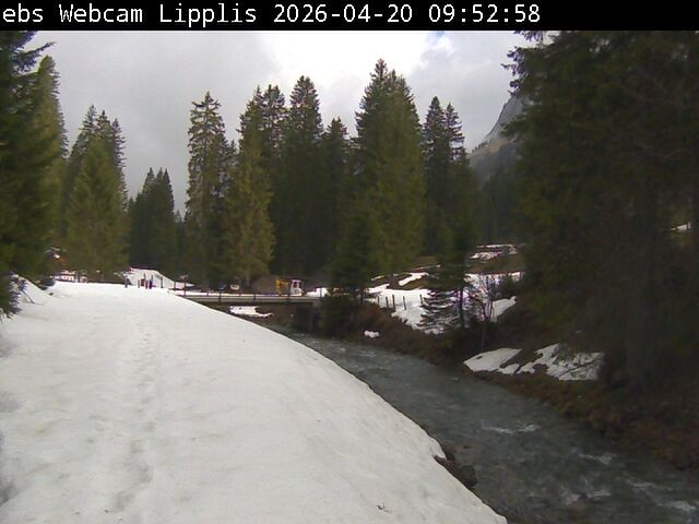 Muotathal › Süden