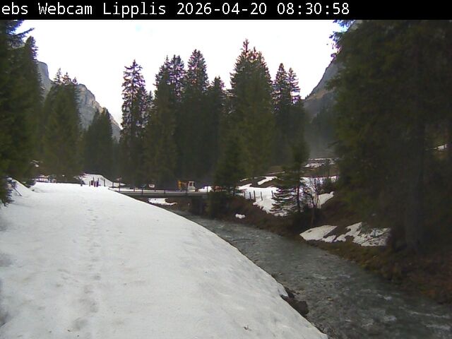 Muotathal › Süden