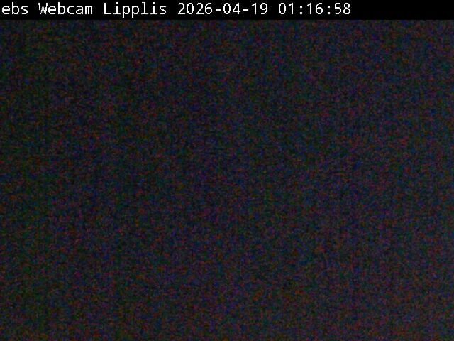 Muotathal › Süden