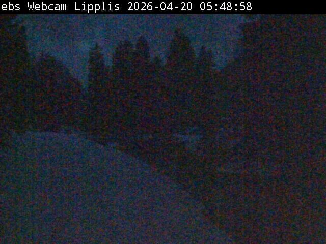 Muotathal › Süden