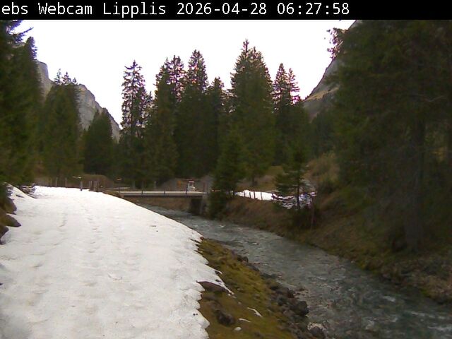 Muotathal › Süden