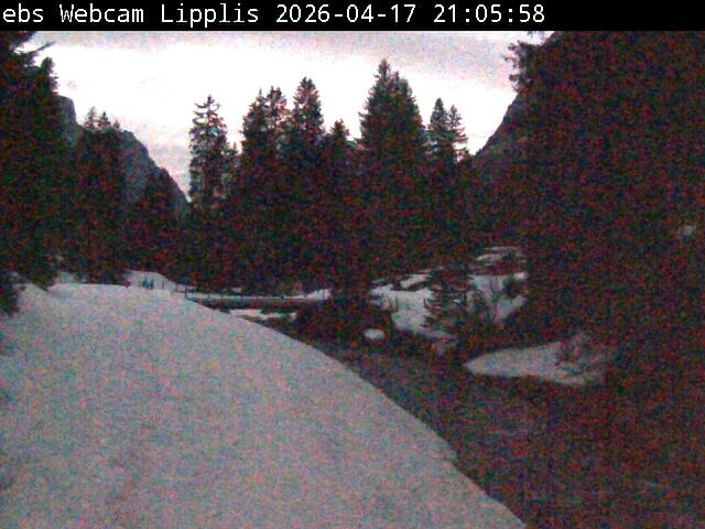 Muotathal › Süden