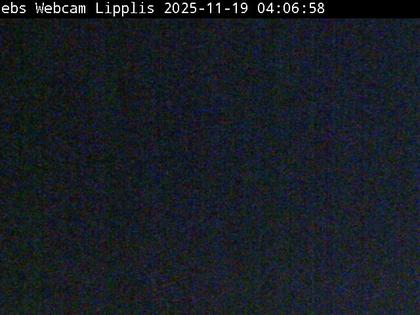 Muotathal › Süden