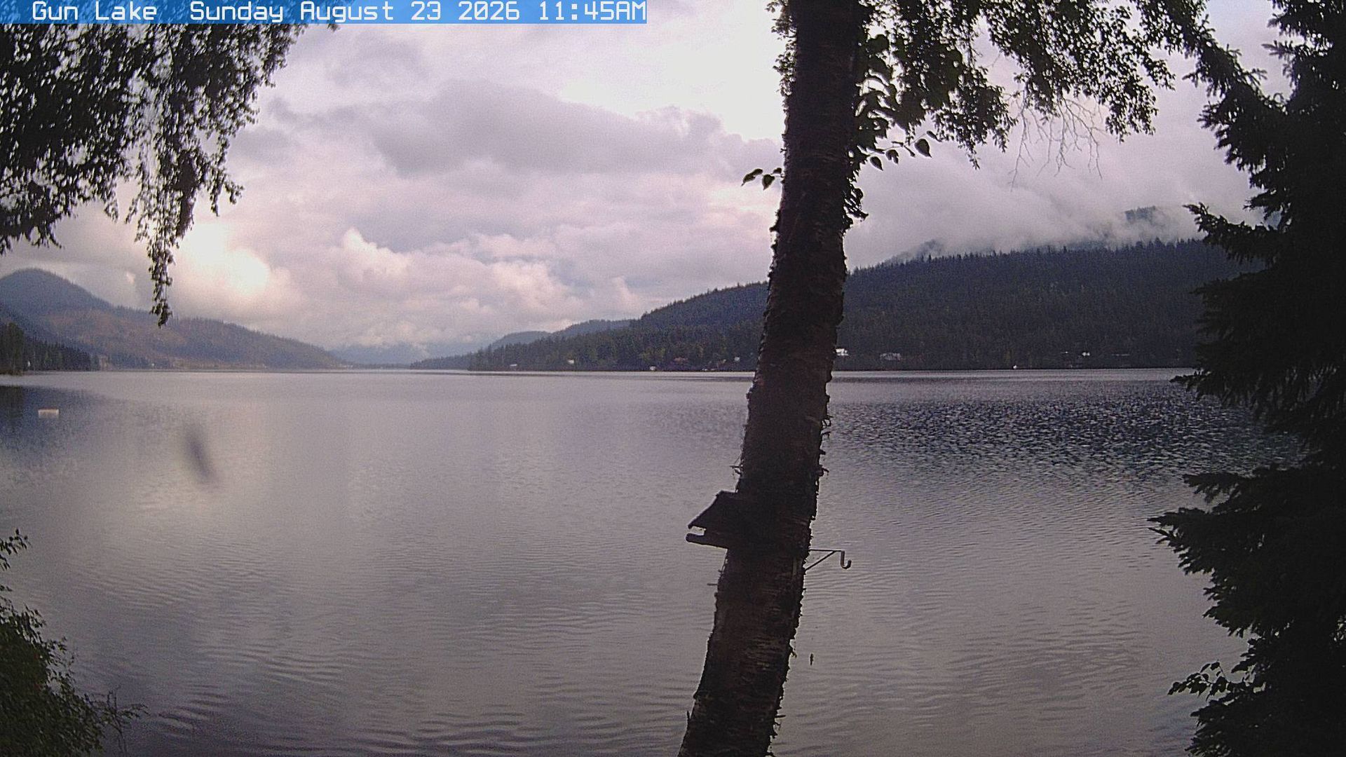 Traffic Cam Area A: Gunlake