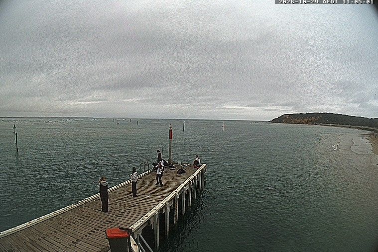 Ocean Grove webcam
