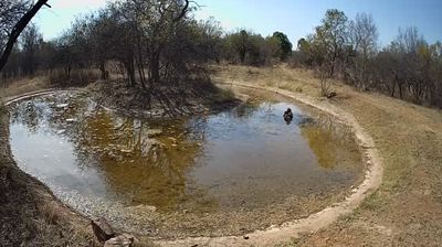 Mabopane today