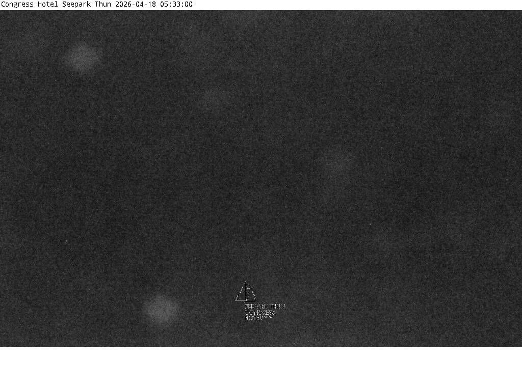 Thun: Congress Hotel Seepark