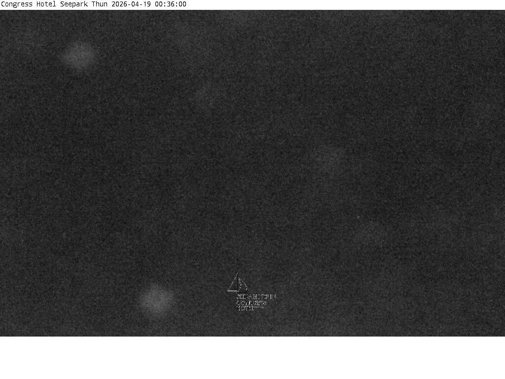 Thun: Congress Hotel Seepark