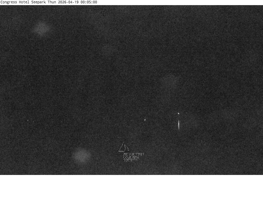 Thun: Congress Hotel Seepark