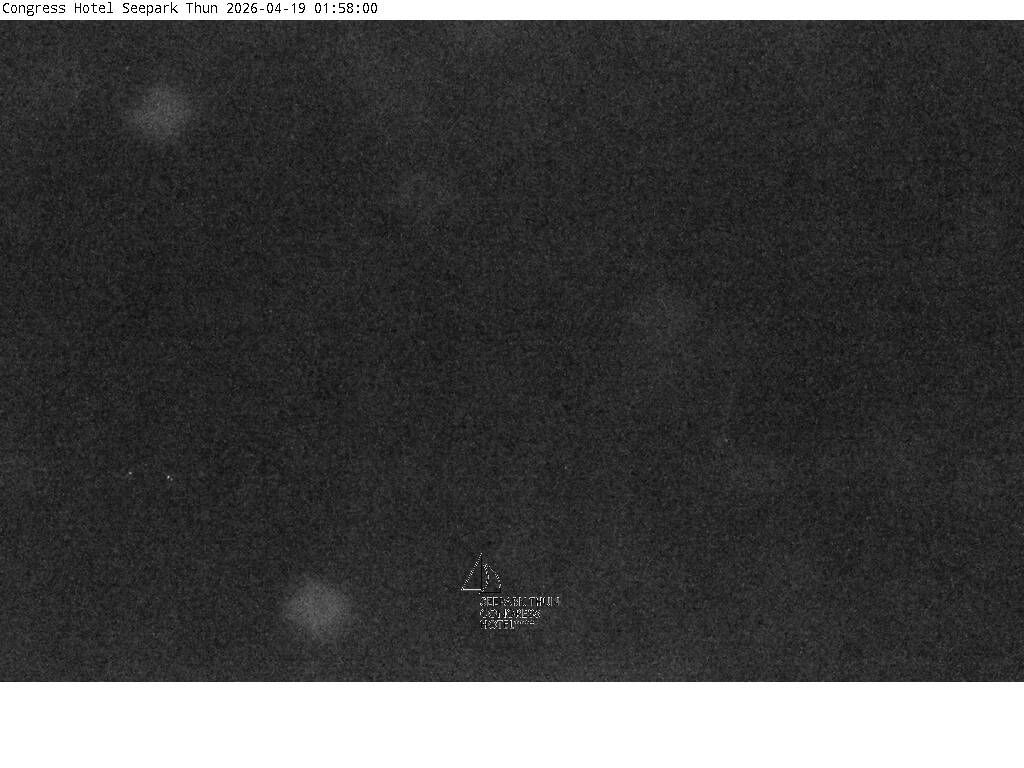 Thun: Congress Hotel Seepark